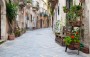 SIRACUSA: UNA NOBILE ELEGANZA 