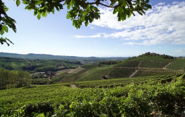 IL PRESTIGIOSO MONDO DEL BAROLO CON SOMMELIER