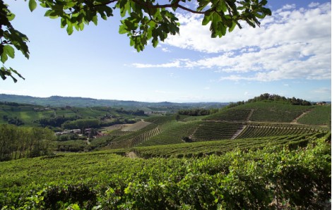 IL PRESTIGIOSO MONDO DEL BAROLO CON SOMMELIER
