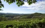 IL PRESTIGIOSO MONDO DEL BAROLO CON SOMMELIER