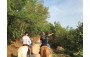 HORSEBACK RIDING AND WINE TASTING
