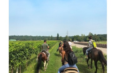 PASSEGGIATA A CAVALLO SULLE COLLINE DI CUSTOZA CON DEGUSTAZIONE
