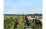 HORSEBACK RIDING AND WINE TASTING