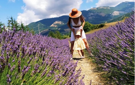 MORANO CALABRO E PARCO DELLA LAVANDA - MAGIE DEL SUD