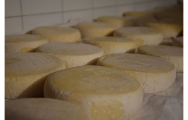 LATTE DI LANGA