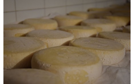 LATTE DI LANGA