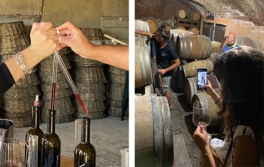 ALLA SCOPERTA DEL MONFERRATO PER CREARE IL TUO VINO PERSONALE