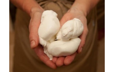 BURRATA & TRULLI