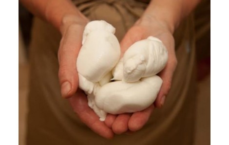 BURRATA & TRULLI