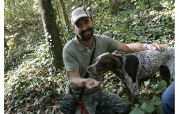 La cerca del tartufo tra i noccioleti del Roero e delle Langhe
