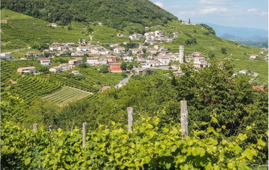 Terre del Prosecco 