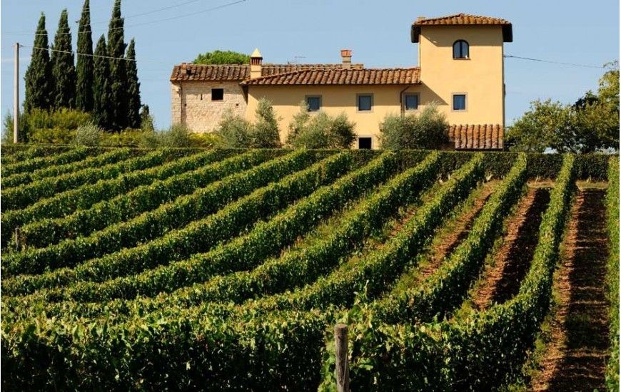 Terre del Chianti